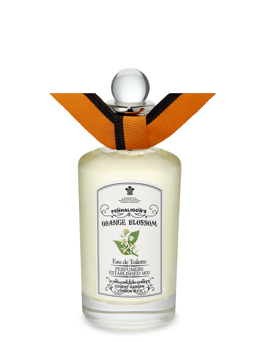 Orange blossom perfumes hot sale